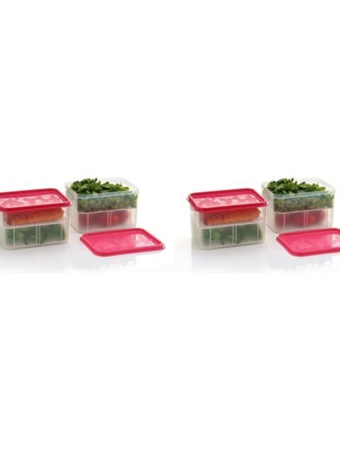 Analog kitchenware - Fruit/Vegetable/Food Plastic Pink Food Container ( Set of 4 )
