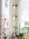 Homesake Set Of 2 Beige Macrame Plant Hangers Without Pot