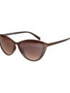 Peter Jones - Brown Cat Eye Sunglasses ( Pack of 1 )